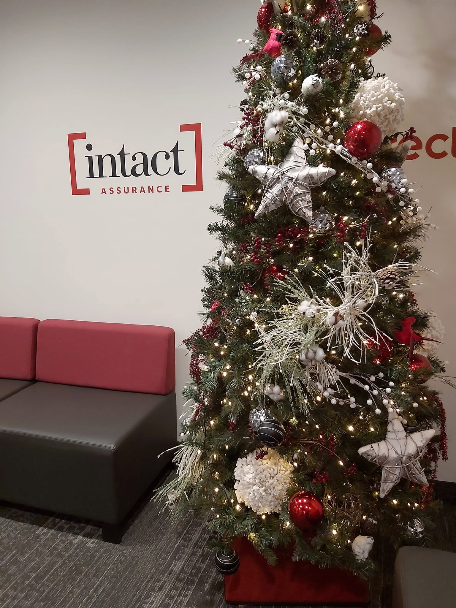 Sapin de Noël dans un espace à bureaux