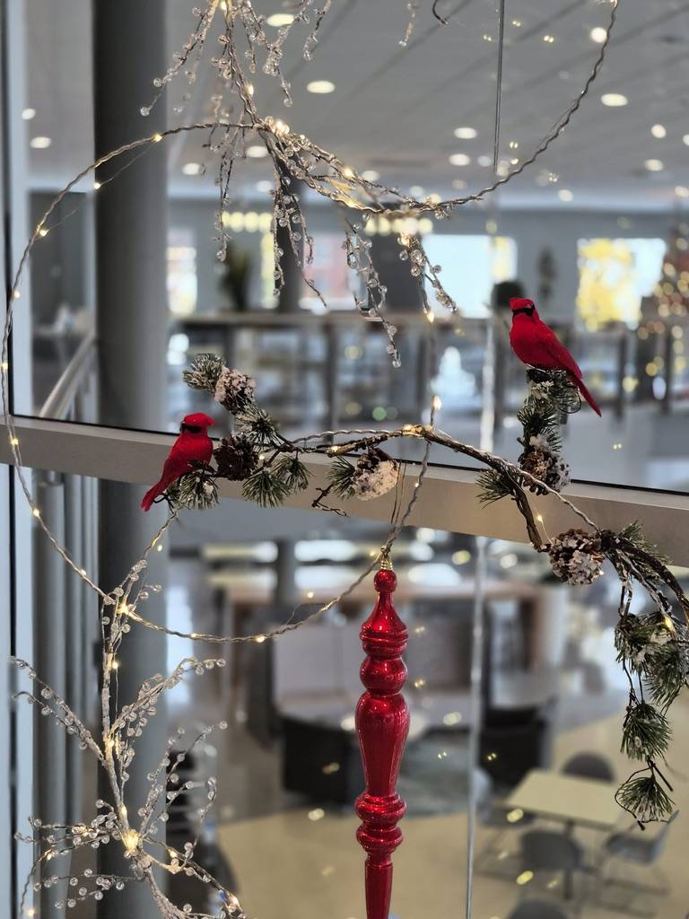 Décoration de Noël corporative avec oiseaux et branches illuminées