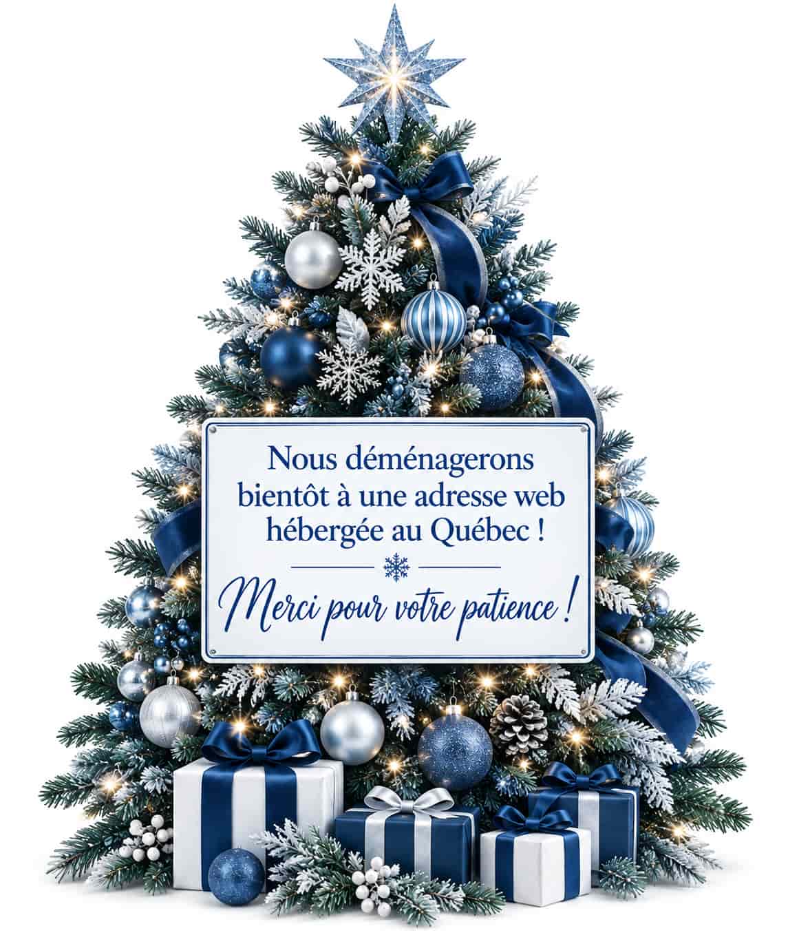 Location de sapins de Noël décorés à Québec